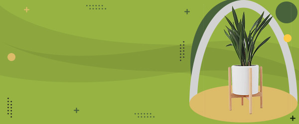 Fashion accessories deals